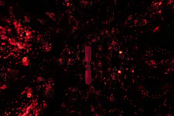 直擊東京麻布台之丘「teamLab 無界」