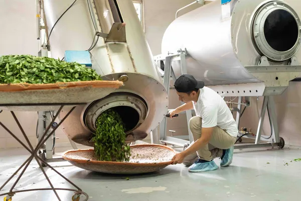 2024 茶山繚療