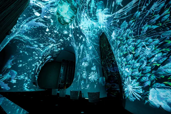 Dimension Plus