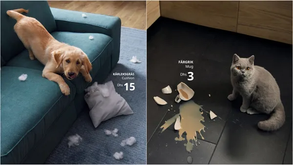 不怕寵物搞破壞！阿拉伯聯合大公國 IKEA 鎖定毛孩爸媽，以創意手法重新詮釋低價商品
