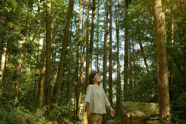 虹夕諾雅「傾聽自然之森」沐暑度假村二泊限定專案