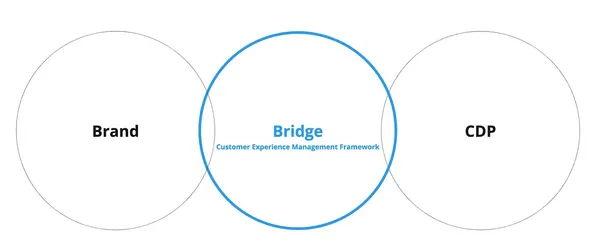 Customer Experience Management Framework