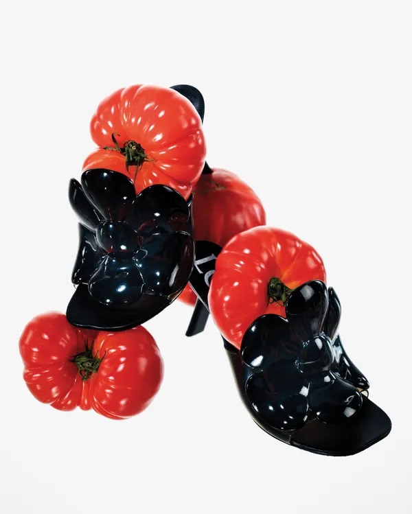 LOEWE 2024 Paula's Ibiza