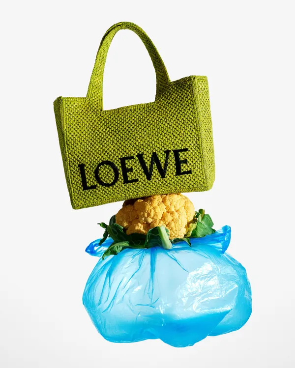 LOEWE 2024 Paula's Ibiza