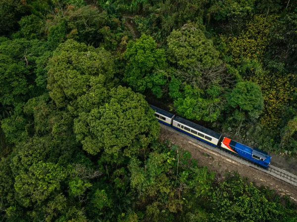 阿里山林鐵列車《栩悅號》