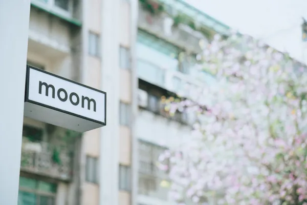 專訪 moom bookshop 店員陳柏宇
