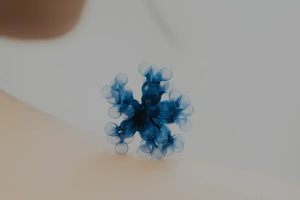 朋丁《Mist 霧》
