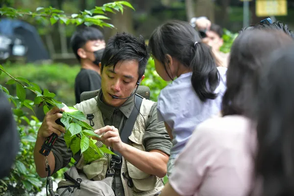 蟬說：溪頭生態露營區