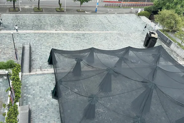 2024 X-site《林木林》