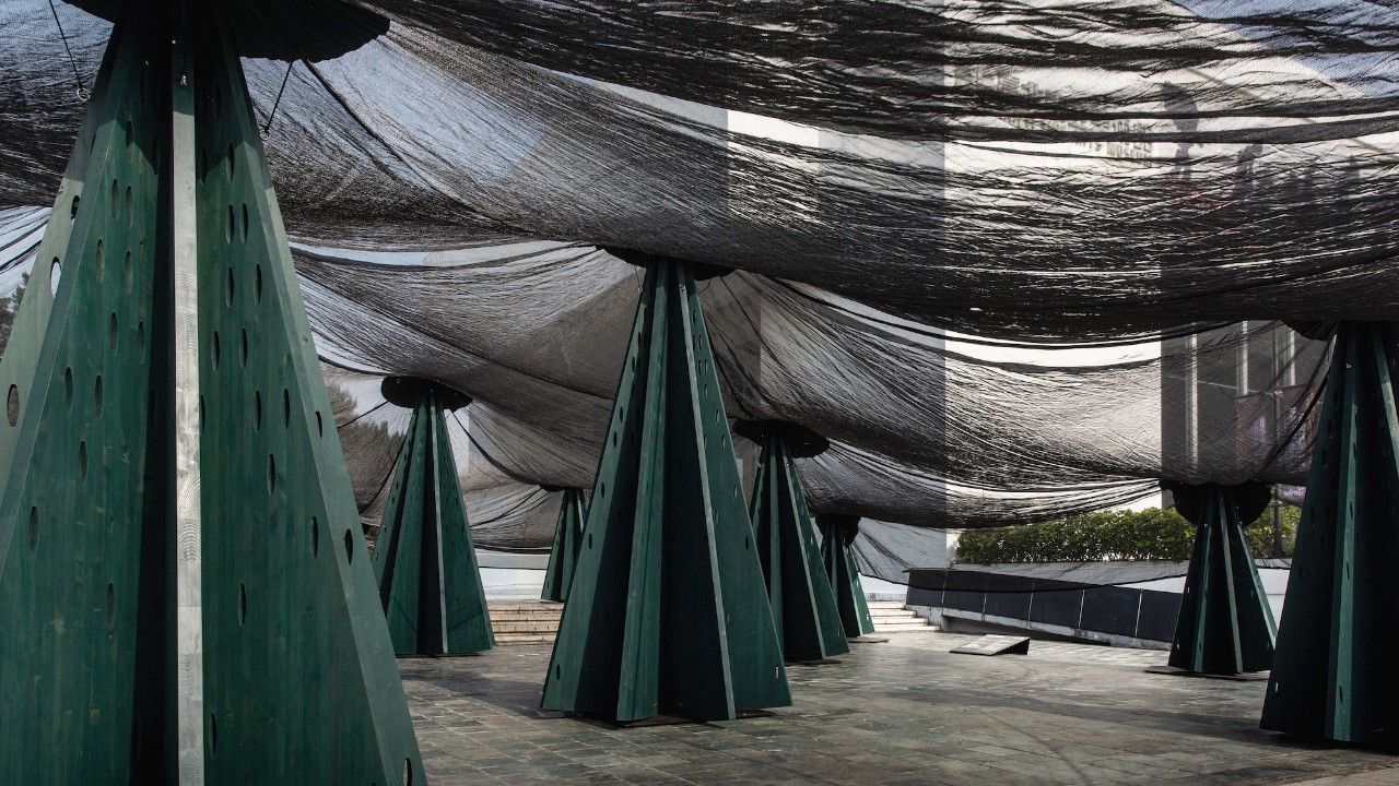 2024 X-site《林木林》北美館開展！感想工作室以25 座樹柱，打造一座