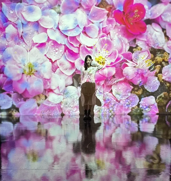 蜷川實花《瞬間的永恆》