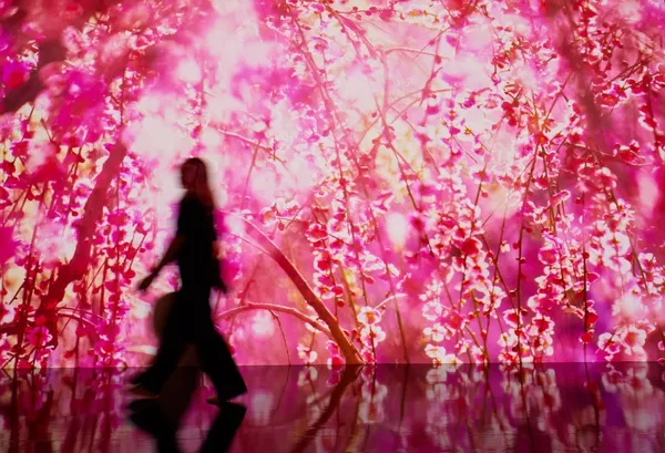 蜷川實花《瞬間的永恆》