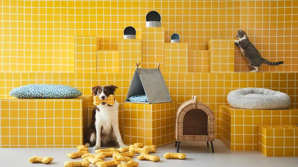 IKEA 首款寵物系列 Utsådd