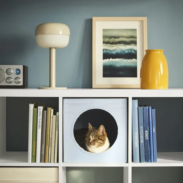 IKEA 首款寵物系列 Utsådd