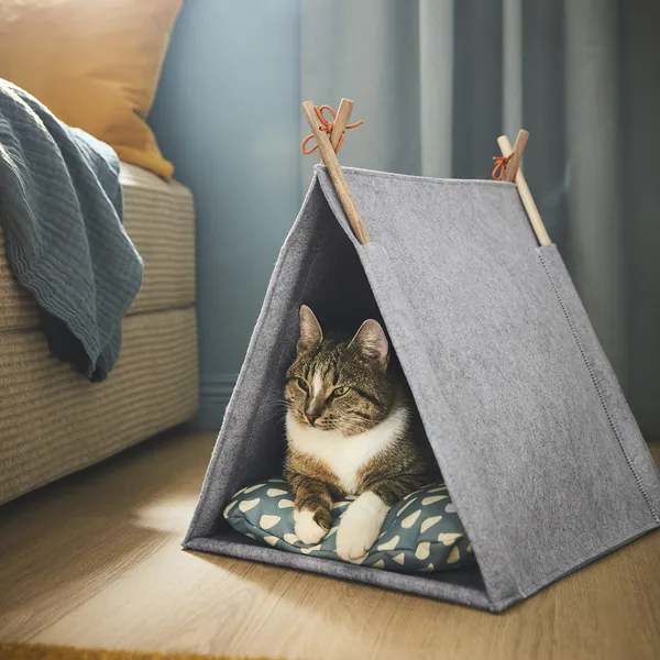 IKEA 首款寵物系列 Utsådd
