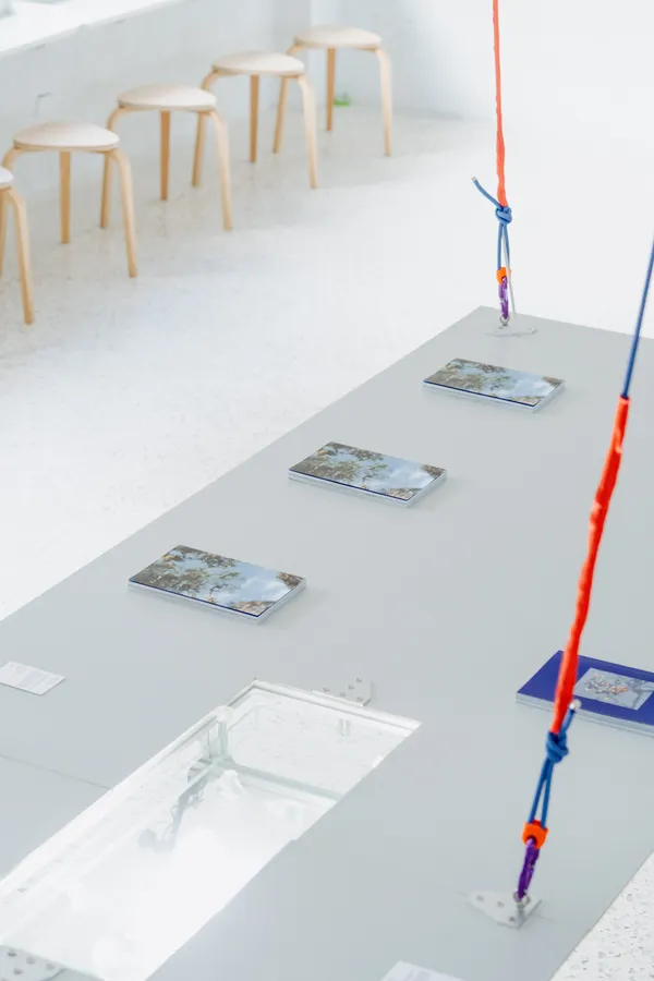 攝影師林祐任個展《邊界 Ambiguity》
