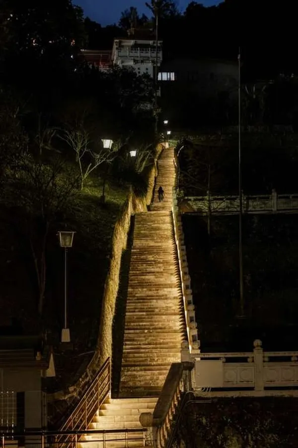 指南宮竹柏參道