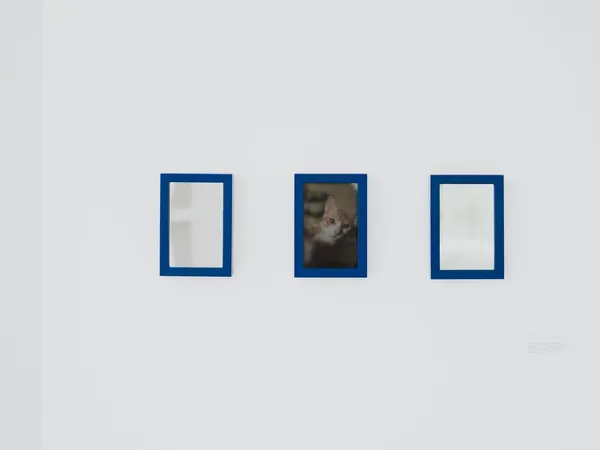 攝影師林祐任個展《邊界 Ambiguity》