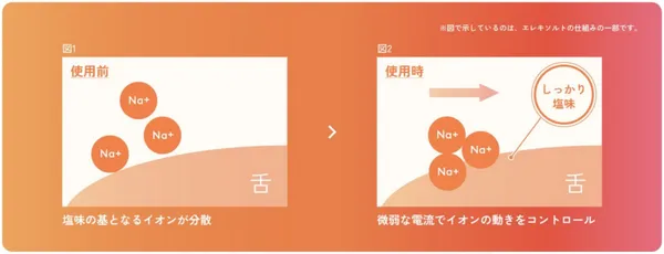電鹽湯匙_鈉離子分布