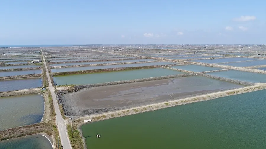 Google宣布投資永鑫能源，推動1GW太陽能建置案！台灣電網轉型再加速