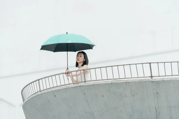 raingo 共享傘