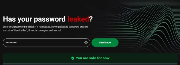 Cybernews的洩漏密碼檢查器
