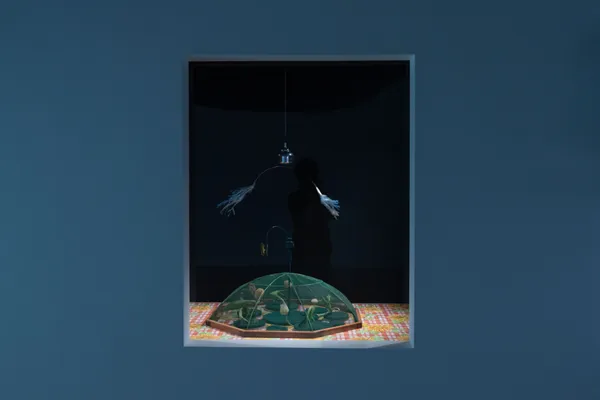 新竹 241 新展《奇形怪狀的日常》