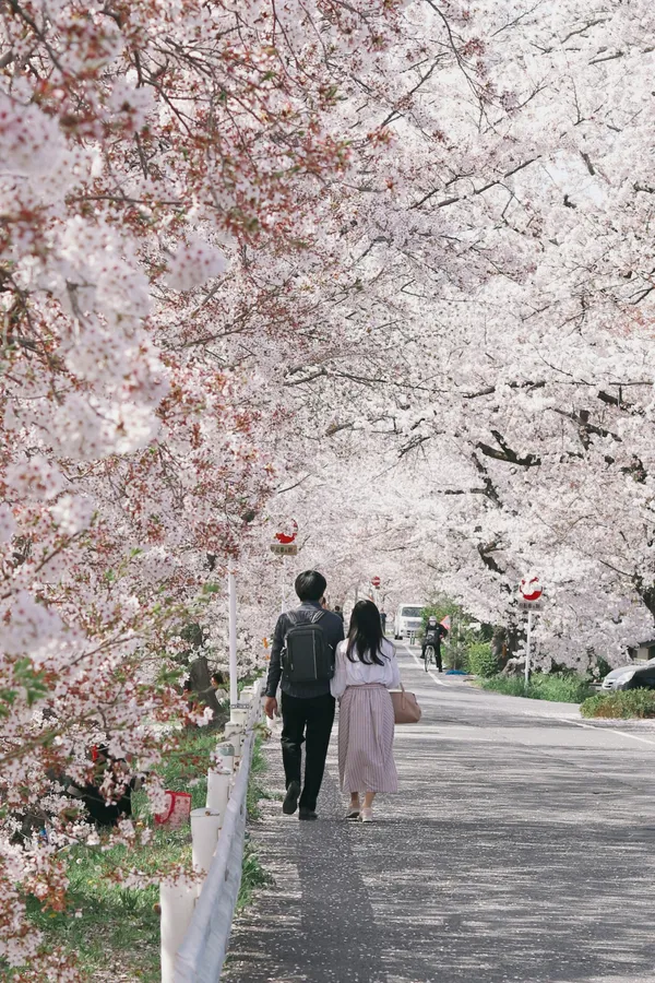 Japan couple