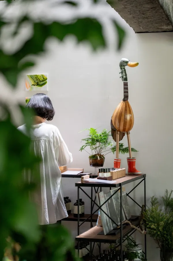 到圖書館帶走一座植物園