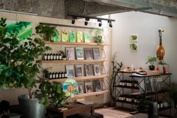到圖書館帶走一座植物園