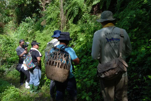 璞草園解碼山林系列_4