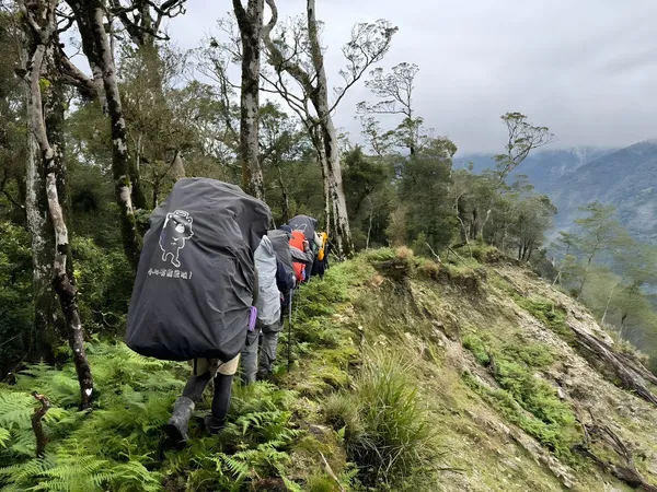 璞草園解碼山林系列_3