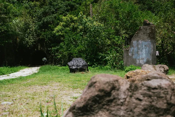 2024台電「黃金盛典藝術祭」