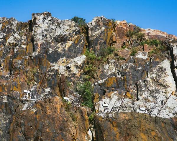 2024台電「黃金盛典藝術祭」