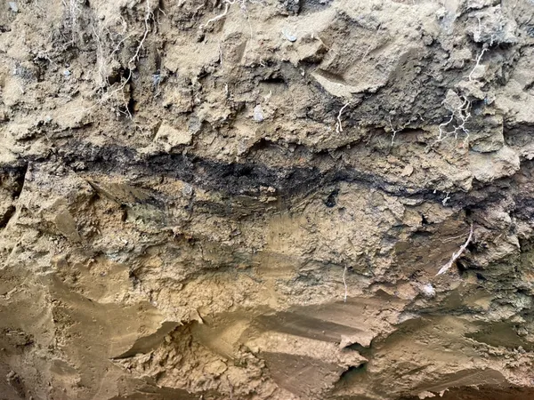 2024台電「黃金盛典藝術祭」