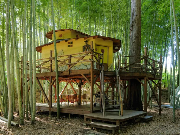 日本千葉「The Bamboo Forest」