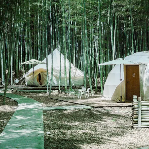 日本千葉「The Bamboo Forest」