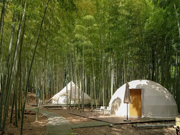日本千葉「The Bamboo Forest」