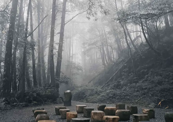阿里山四季生活提案
