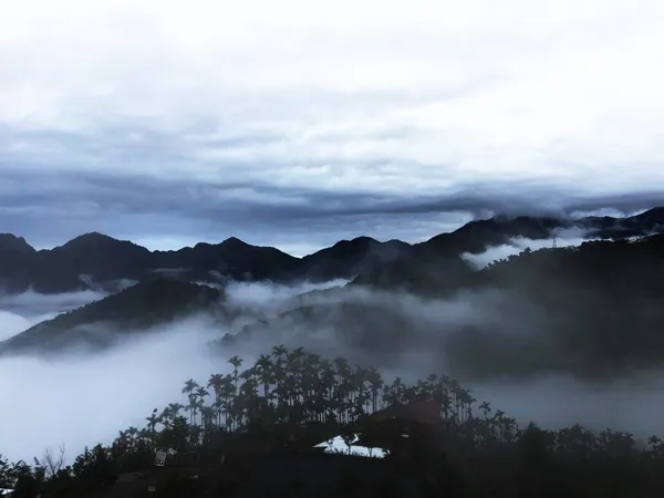 阿里山四季生活提案