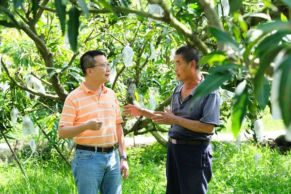 「植人訂價」機制