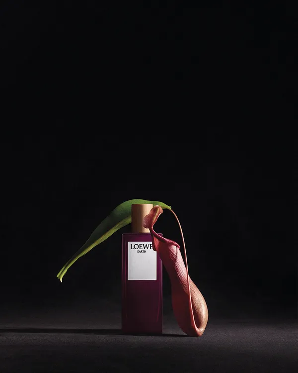 LOEWE 香氛精品店