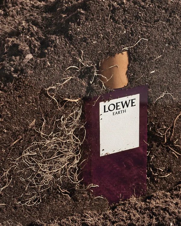 LOEWE 香氛精品店