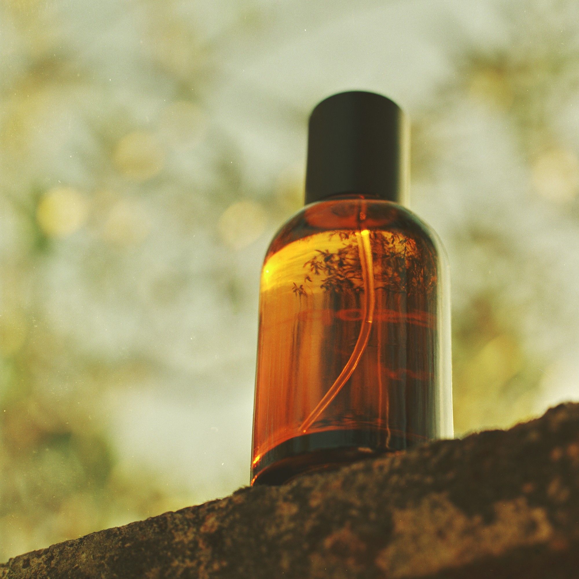 喚起美好記憶，Aesop「Virēre 蔚香水」問世：以佛手柑、無花果、綠茶