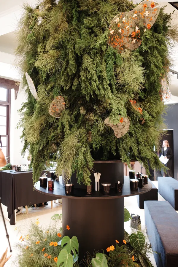 Jo Malone London 新香「檜木與雪松」