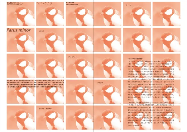 《NEUTRAL COLORS》首次來台在朋丁