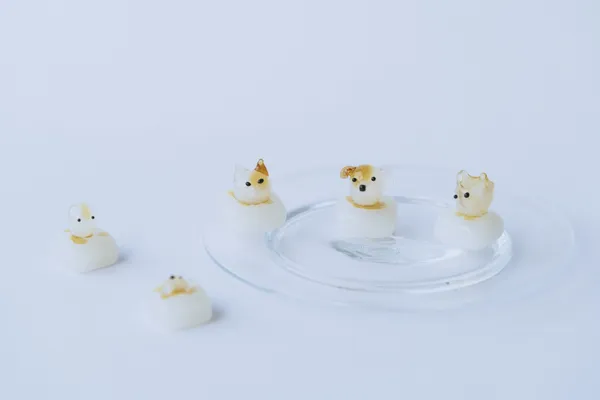 新竹「透明扭蛋店 GLASS GACHA 」