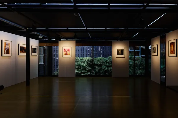 Zhong Lin 鍾靈《I Got Your Back》攝影特展