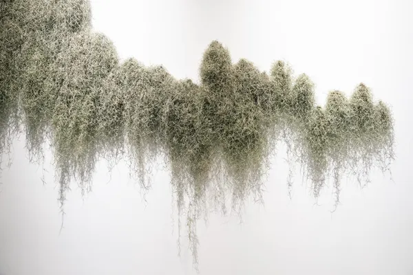 朱銘美術館《方物》展