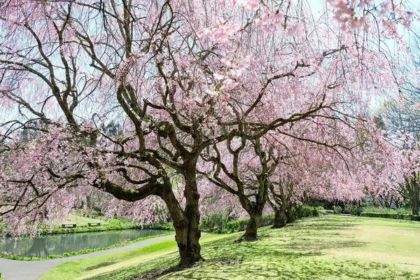 佐倉市 DIC 川村紀念美術館